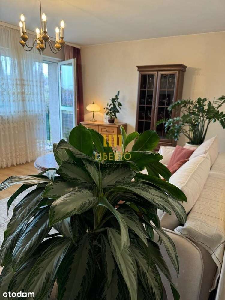 2 pok, balkon, Metro Młociny-1