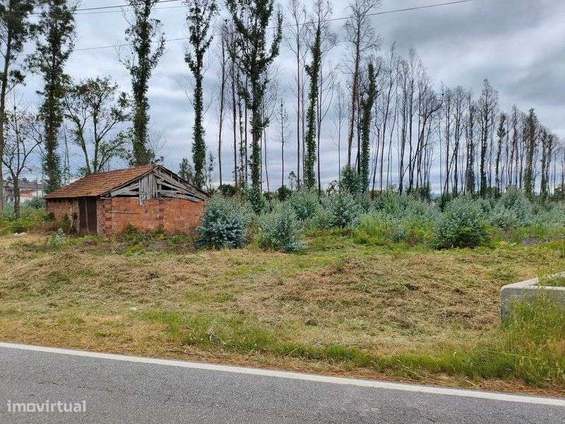 Terreno urbanizável, 7100 M2 - Grande imagem: 4/5