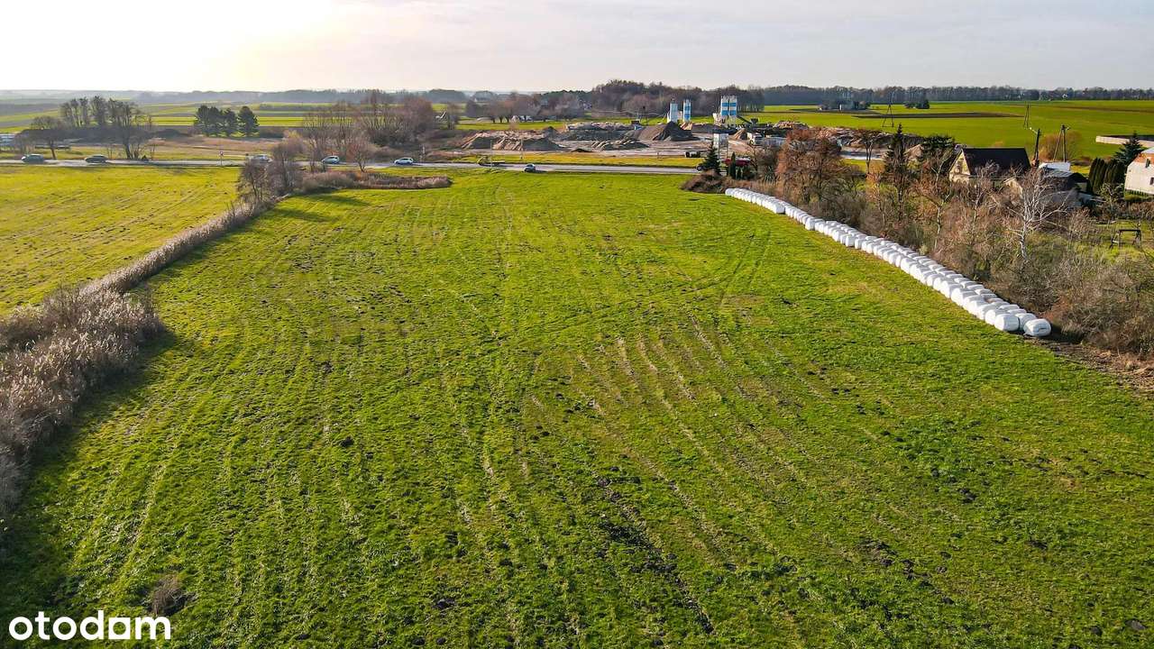 Działka dla inwestora w Borzykowie koło Wrześni-0