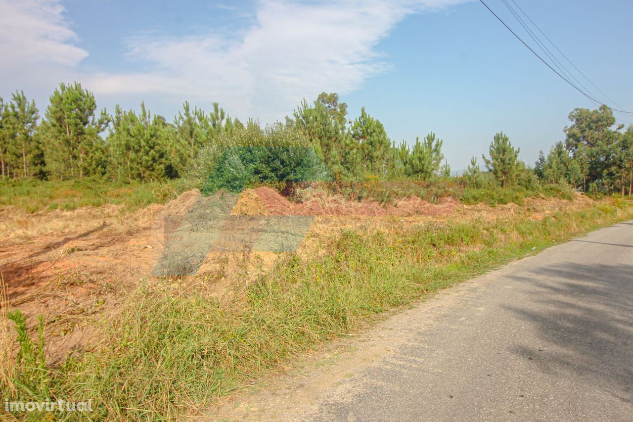 Excelente Terreno com 18.000m2 - Cervães!