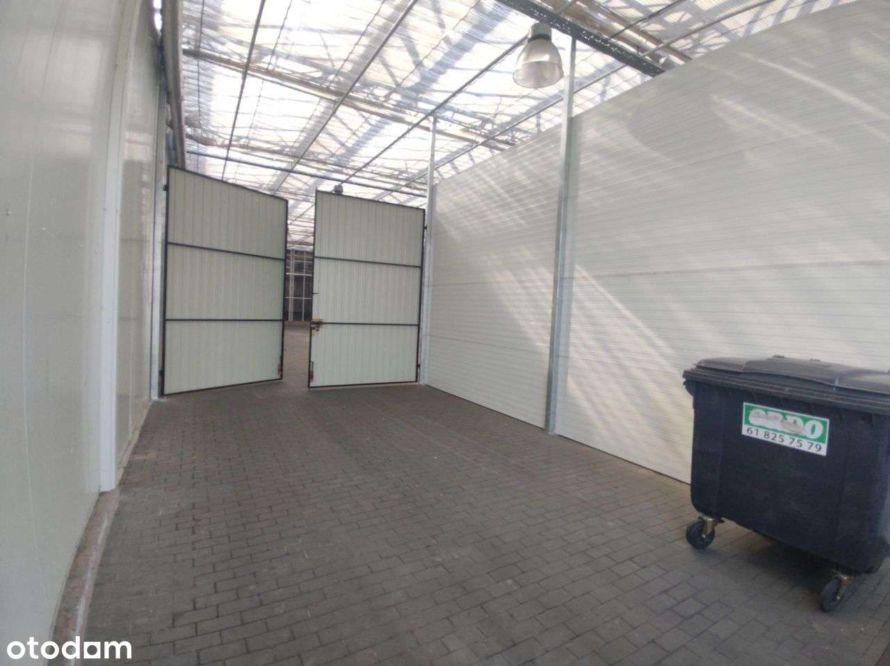 Hala/Magazyn, 1 500 m², Owińska - Pełny obrazek: 4/9