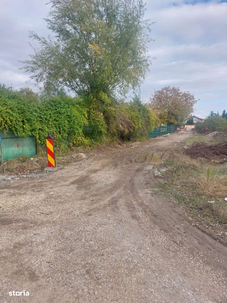 Cornetu - Taberei - Imagine principală: 5/10