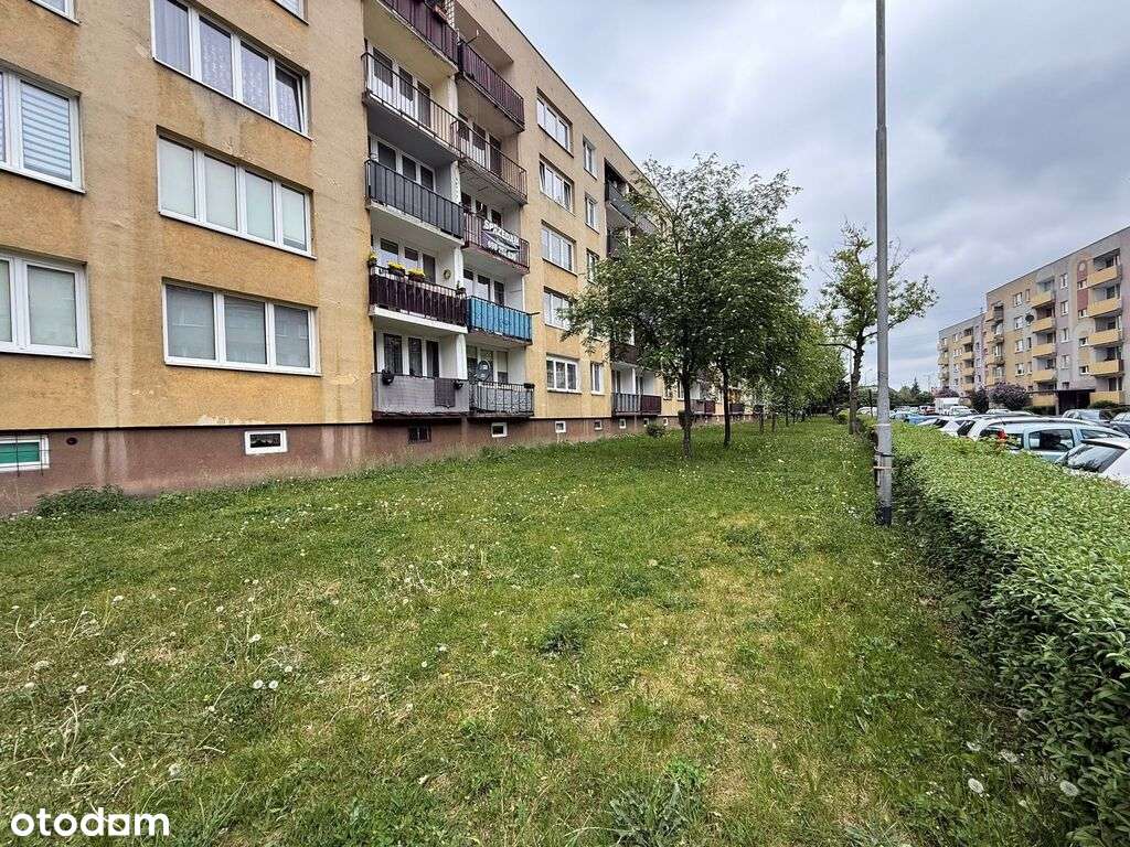 Dwustronne M3 44,7m², Tysiąclecie Częstochowa-17