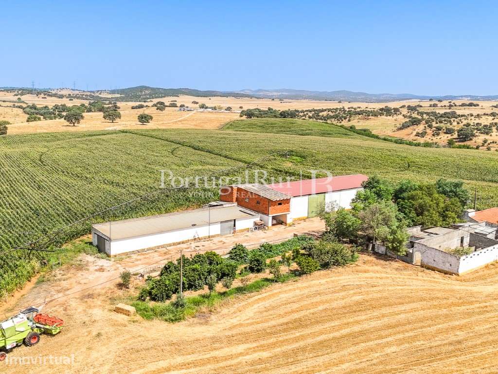 Herdade de regadio com 30 hectares em Évora - Grande imagem: 5/45