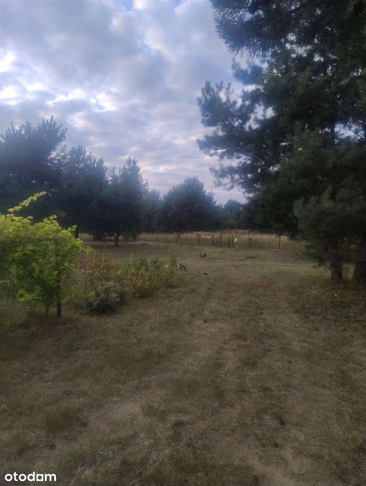 Piękna działka w Rakowni Gmina Murowana Goślina-12