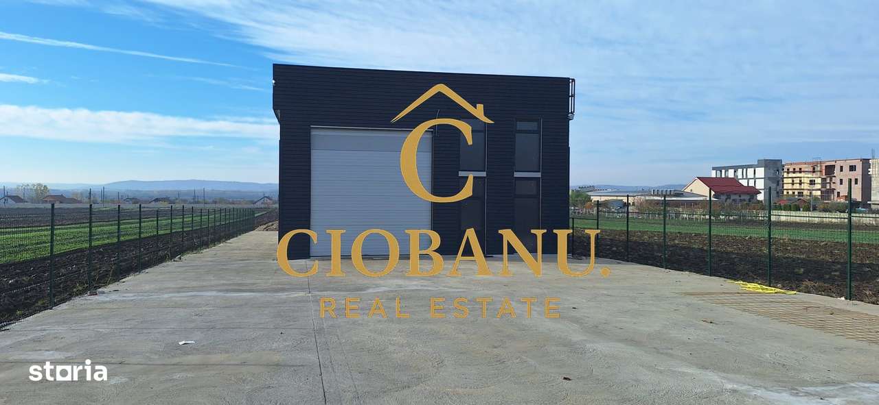 Hala de vanzare in Racari de Jos-1