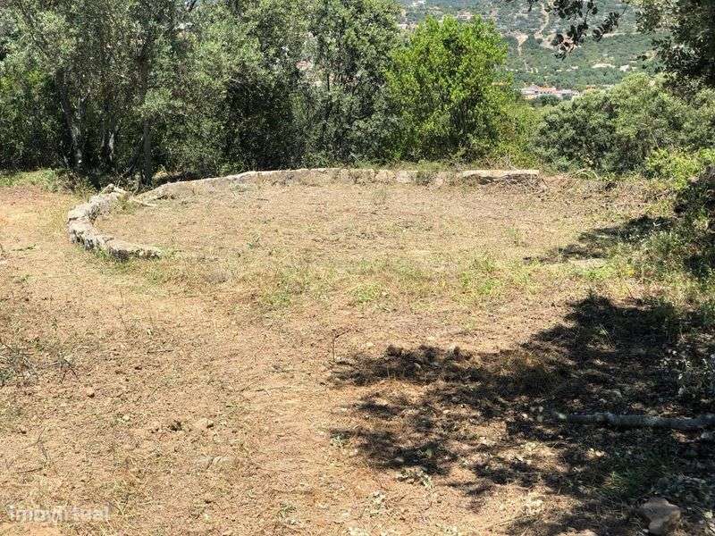 Terreno urbano de 4000m² com ruína e vista panorâmica - Grande imagem: 4/7