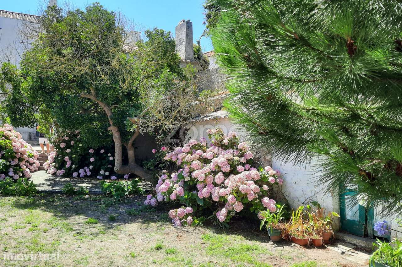 T10 no melhor Sitio da Nazaré-31