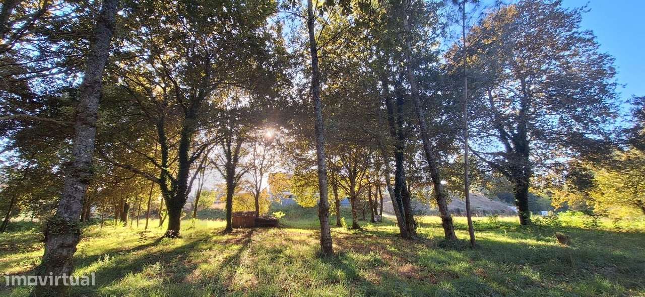 Moradia T4 em UL – Oliveira de Azeméis!-37