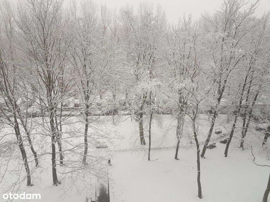 2 pokoje w pełnym rozkładzie z widokiem na korony drzew przy Lnianej!!-8