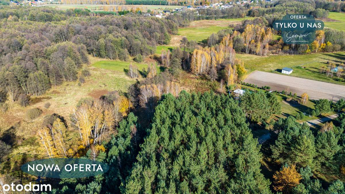 Działka w zielonej okolicy! Sromutka gm. Zelów - Pełny obrazek: 4/14