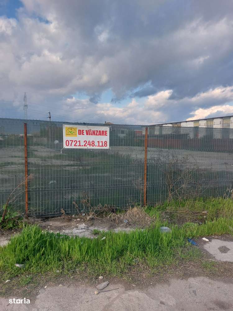 Magurele - Zona Mixta, Ideal Hala - Imagine principală: 2/9