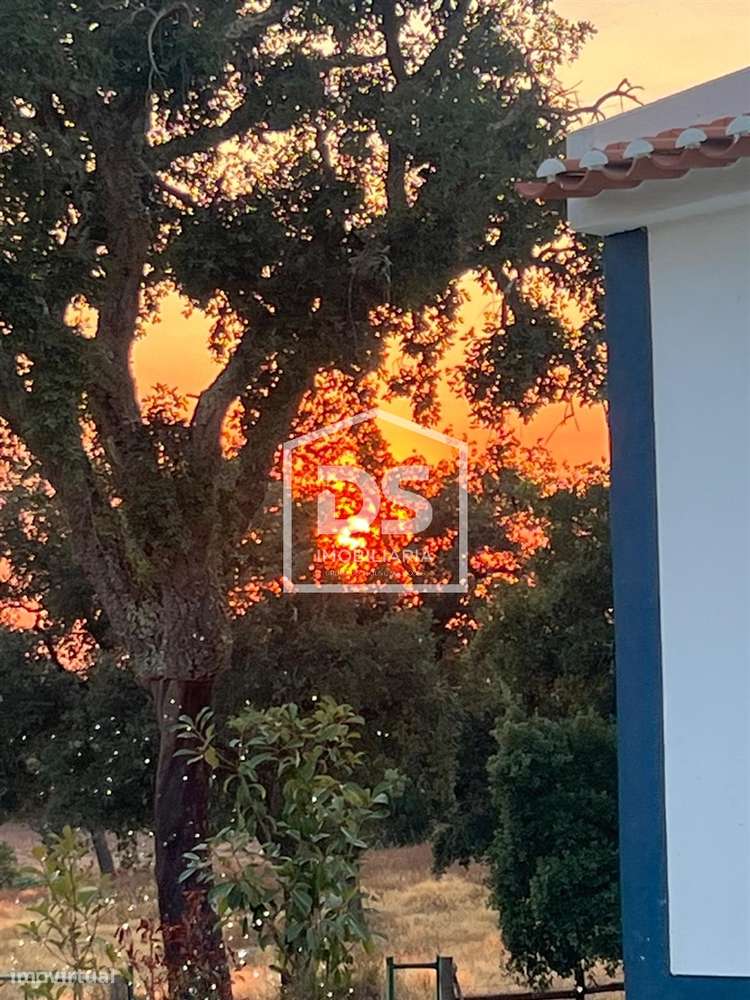 Herdade  Venda em Raposa,Almeirim-25