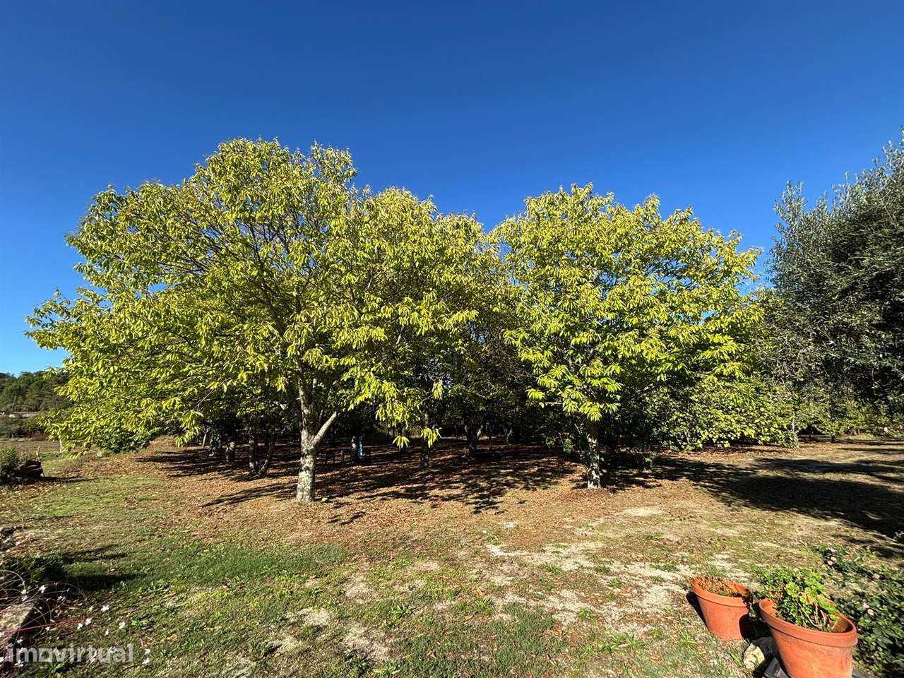 Quinta T5 Venda em Tourais e Lajes,Seia-21