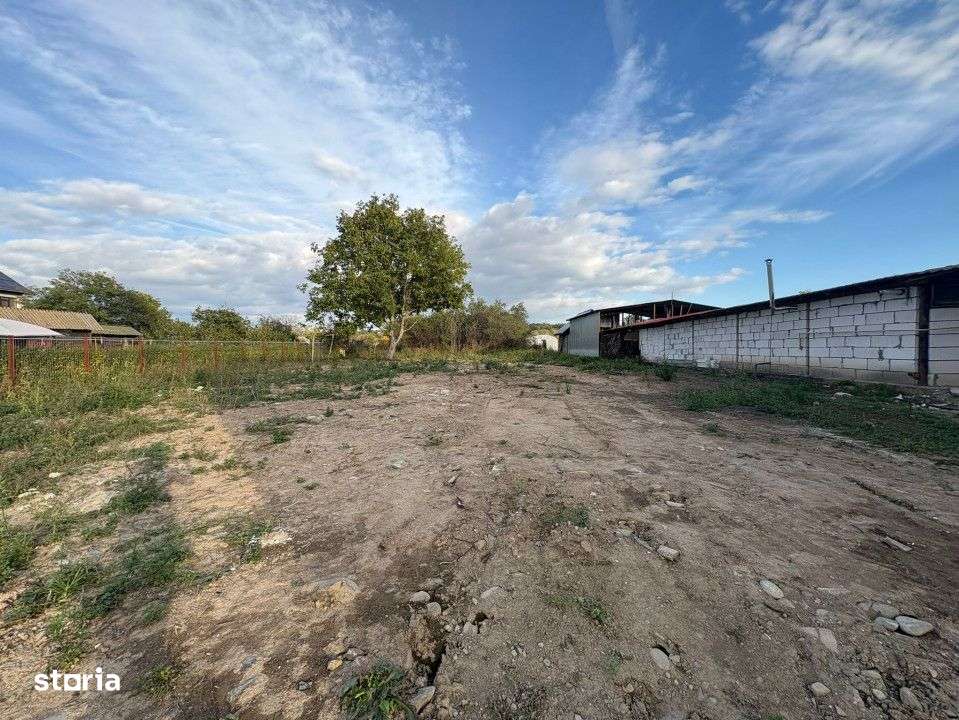 Teren 4449 mp cu utilitati, Curtisoara - la 13 km de Targu Jiu - Imagine principală: 4/5