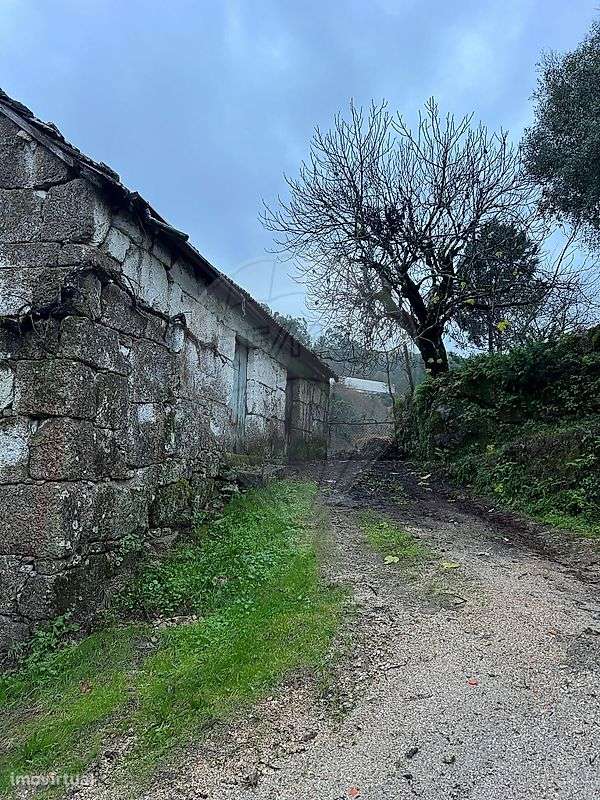 Quinta  para venda - Grande imagem: 5/11