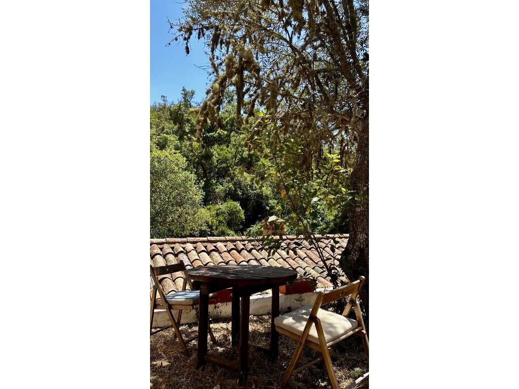 CASAS de CAMPO (3 Prédios)-33