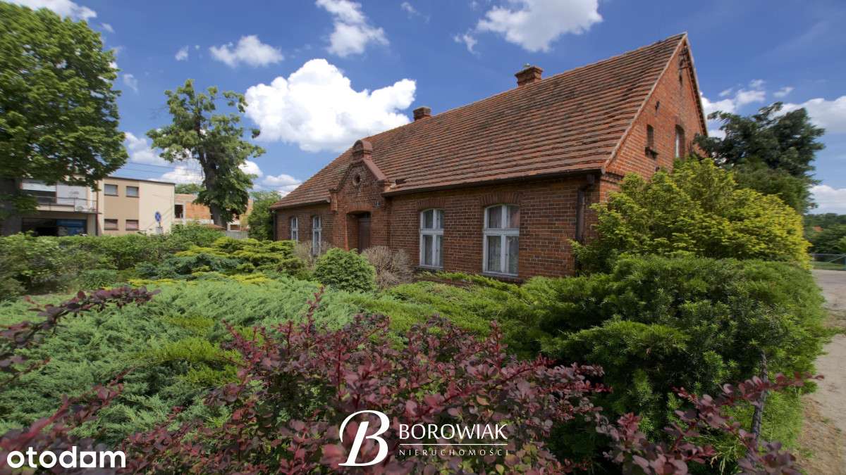 Perełka w Gołuchowie - 1298 m² działki-1