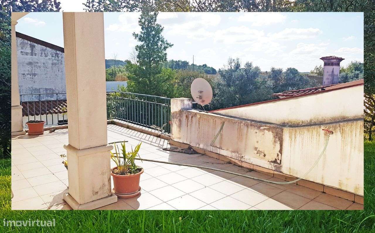 Quintinha com Mata secular-30