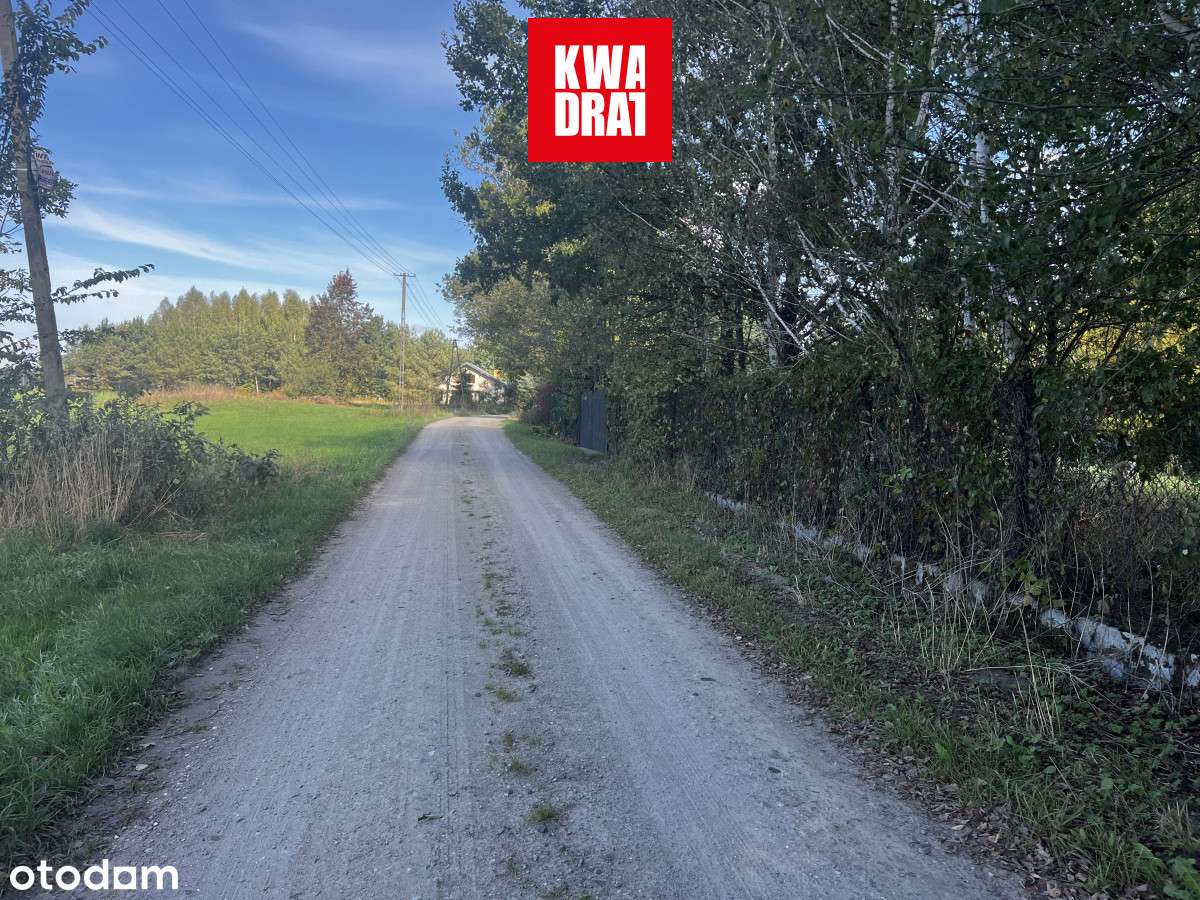 Lasomin 0,97 ha Siennica działka siedliskowa - Pełny obrazek: 5/9