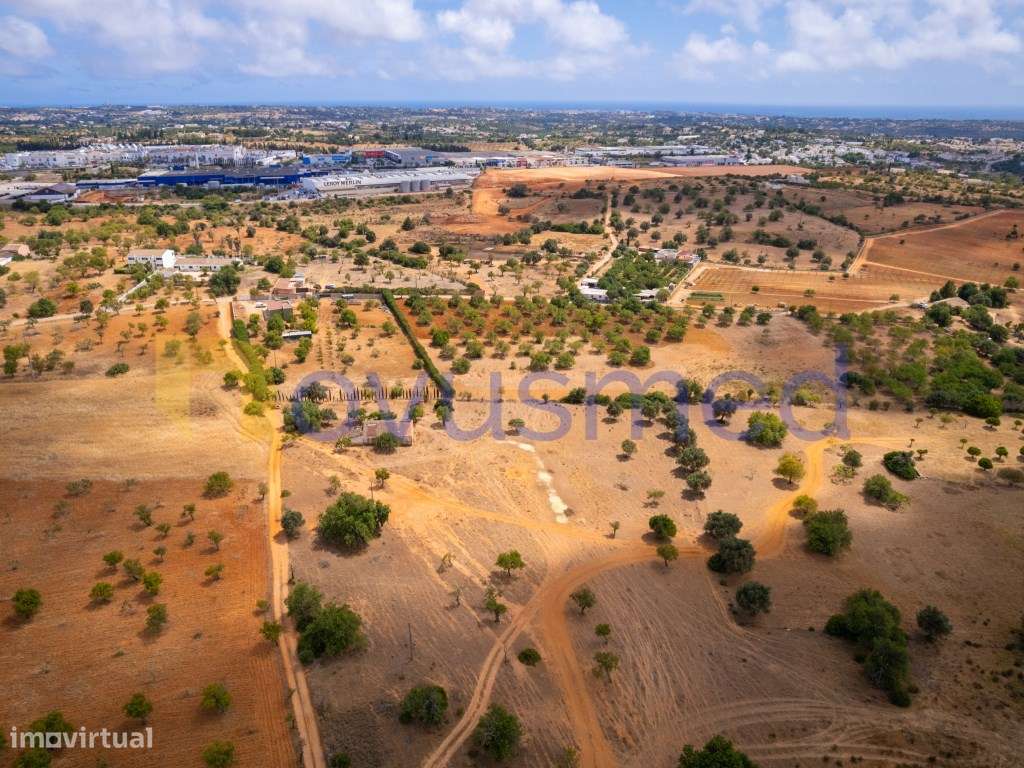 Quinta de 2,1 ha com Potencial para Turismo Rural- Guia Valverde-23