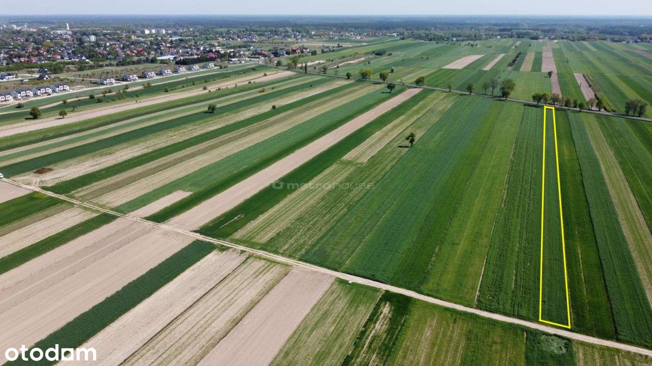 Działka, 2 900 m², Rybno - Pełny obrazek: 4/5