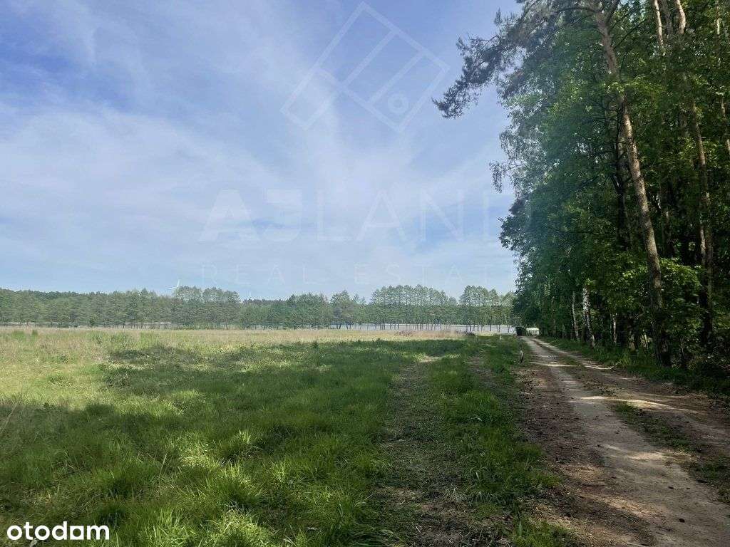 Malownicza działka nad jeziorem z Mpzp! - Pełny obrazek: 5/11