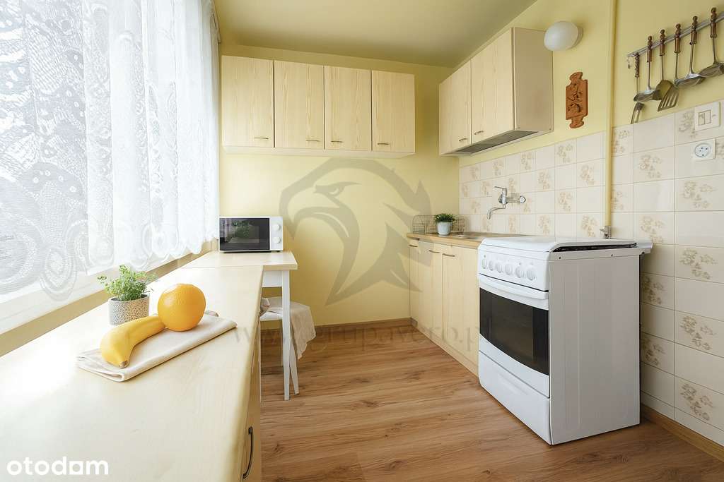 Zielono mi.... Mamy to czego szukasz...-1