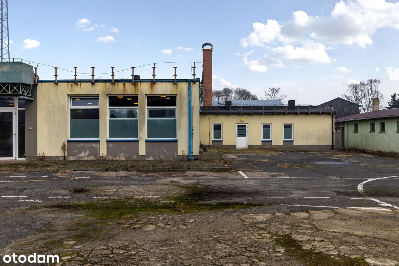 10 000  m2  w centrum Szczekocin-17