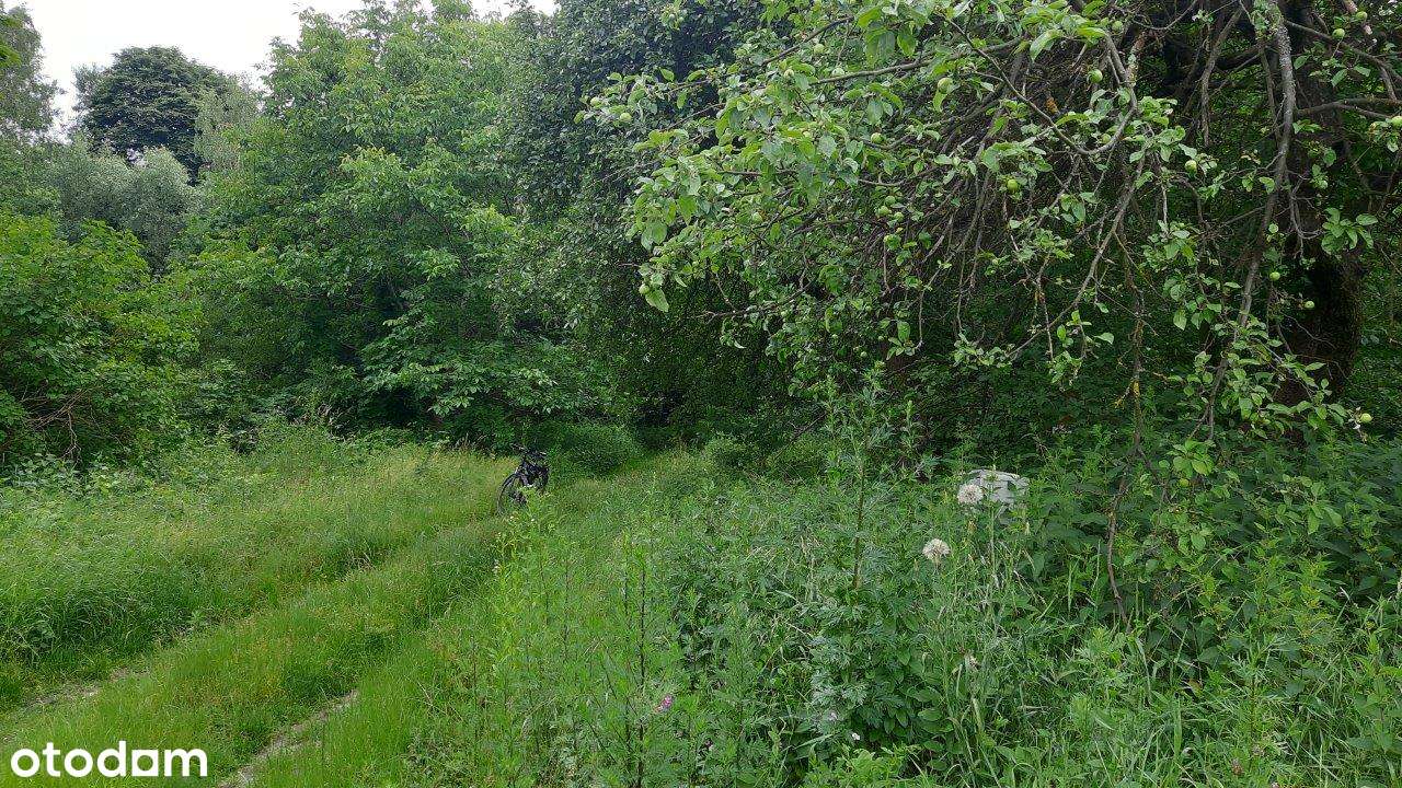 Działka komercyjna-usługi, trasa S8.-5