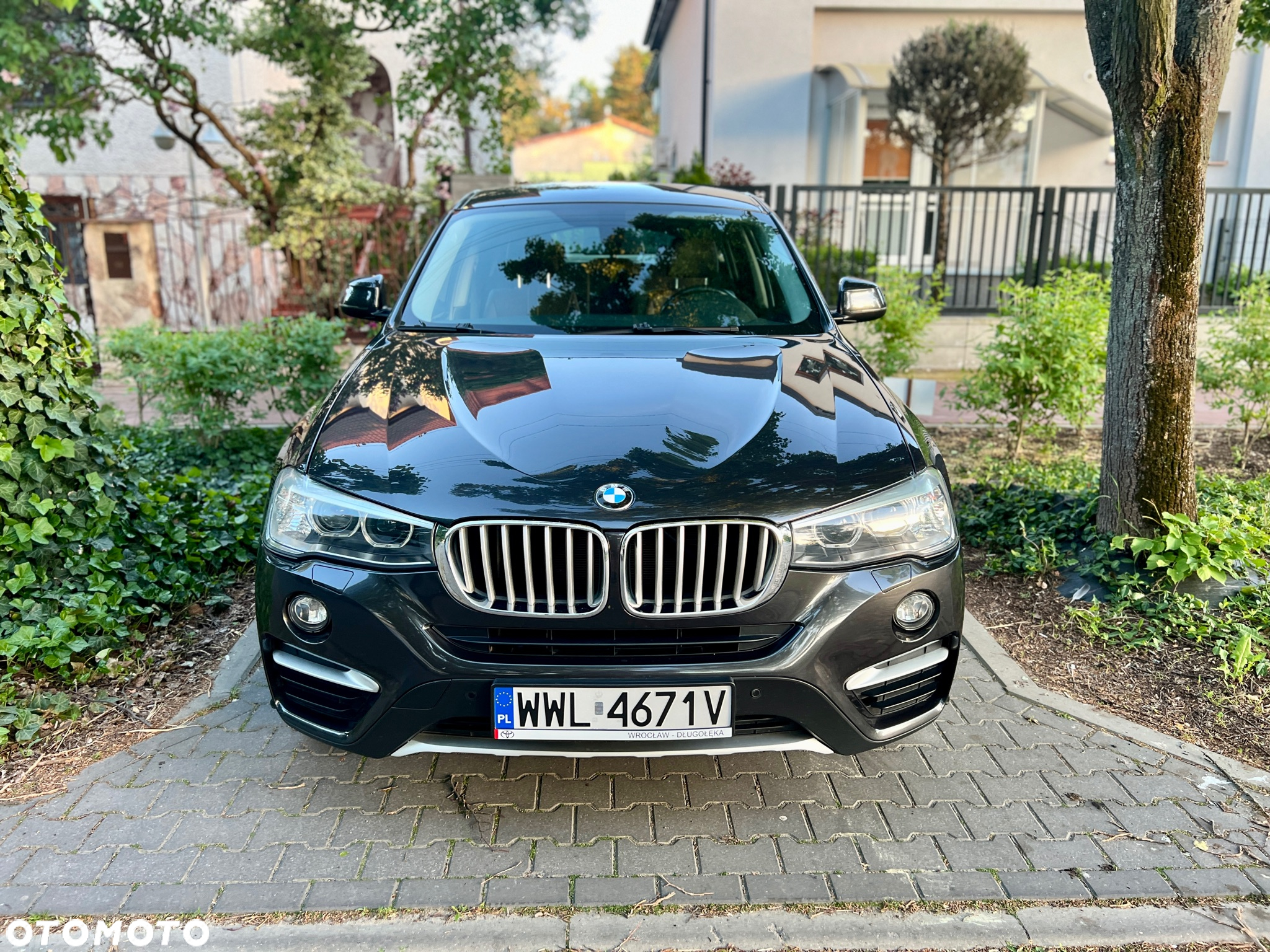 BMW X4 xDrive20i xLine - 2