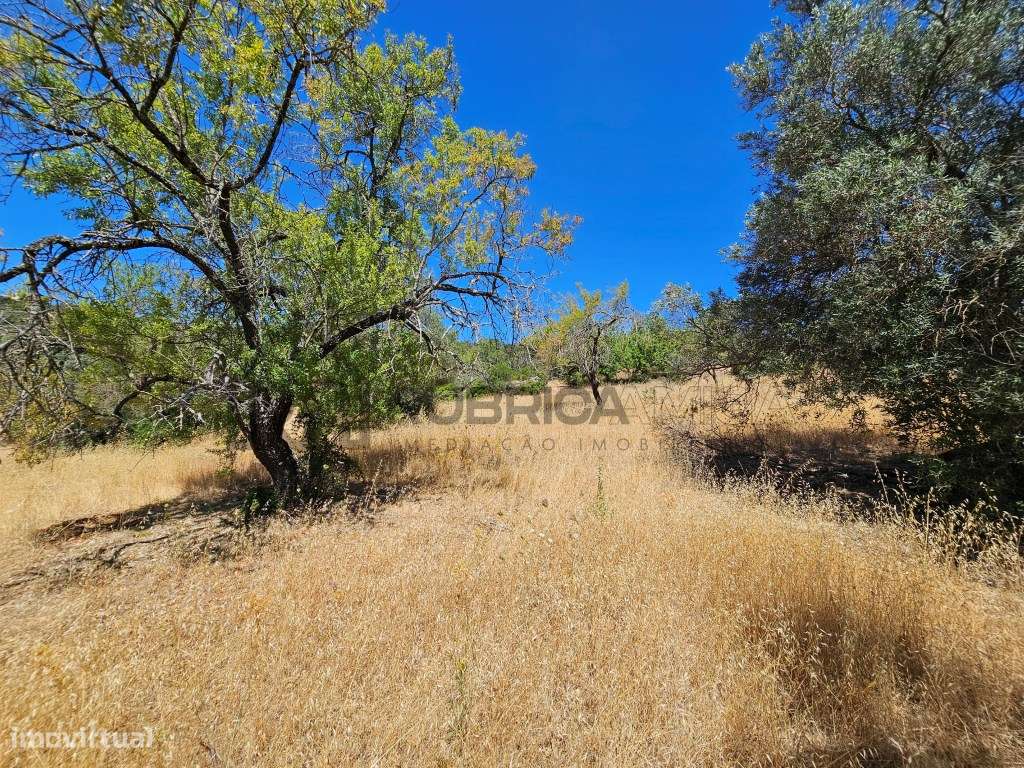 Bonito terreno com ruína em zona calma-16