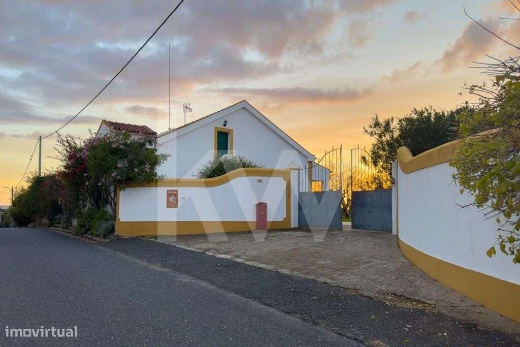 Quinta Alentejana | Oportunidade de Sonho | Exploração Turística ou Ca - Grande imagem: 3/59
