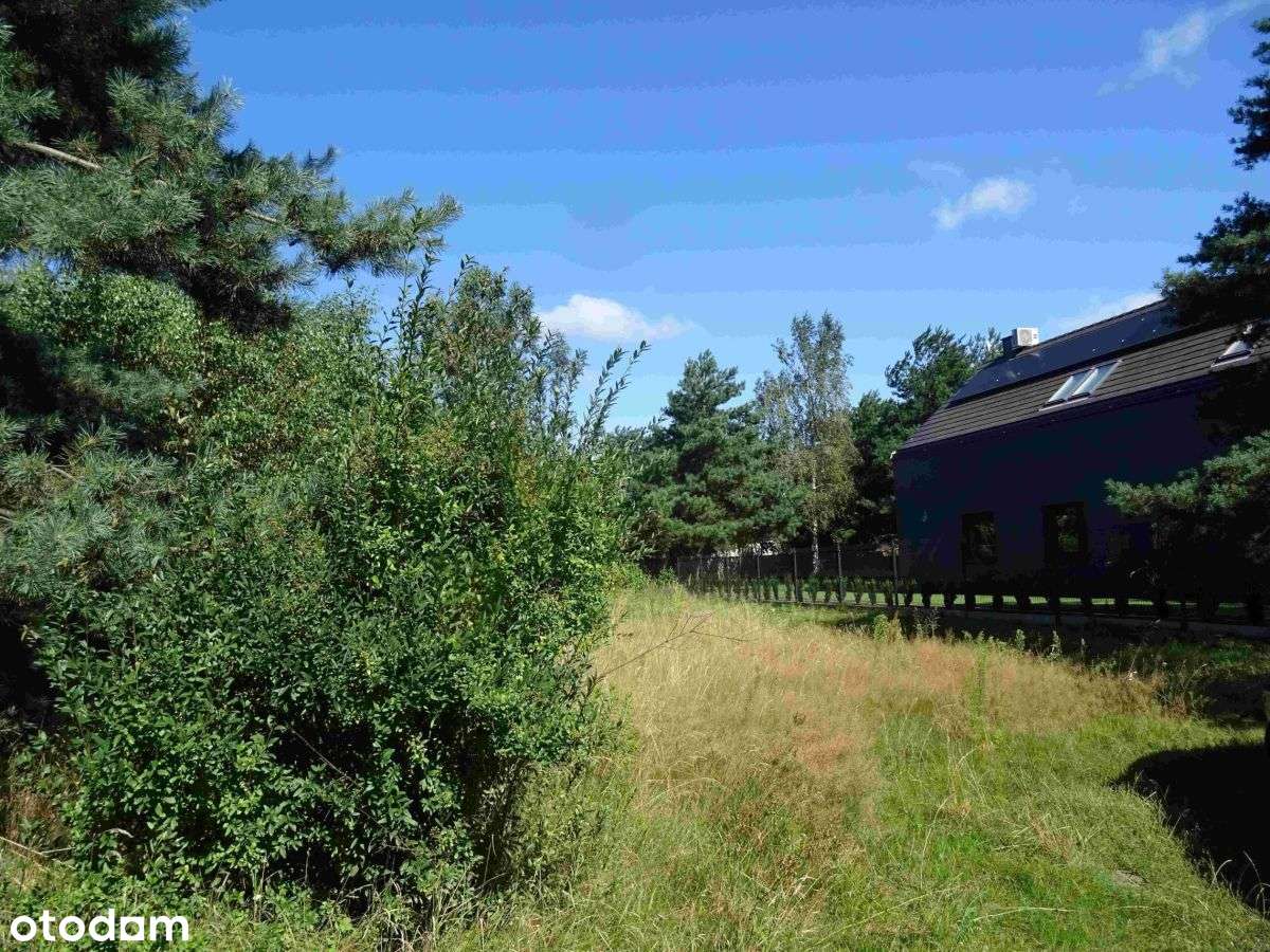 Działka w pobliżu lasu-5