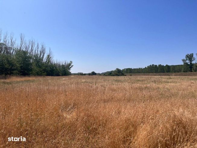 Teren agricol cu potential – 24.834 mp, zona Podul Jiului-1