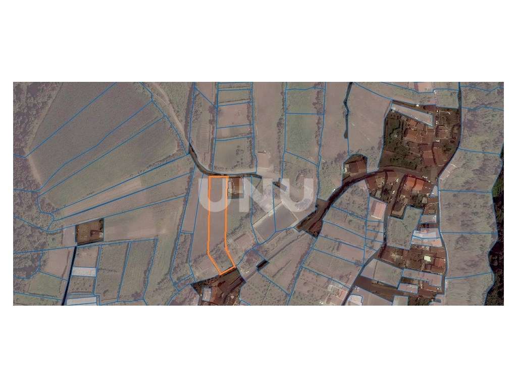 Terreno rústico- Ribeira Chã-5