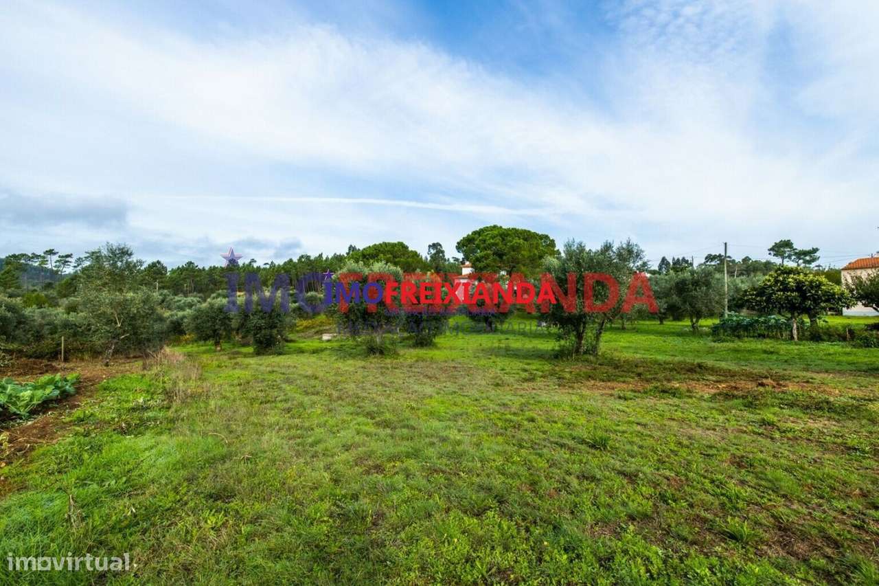 Moradia em Freixianda - Grande imagem: 5/9