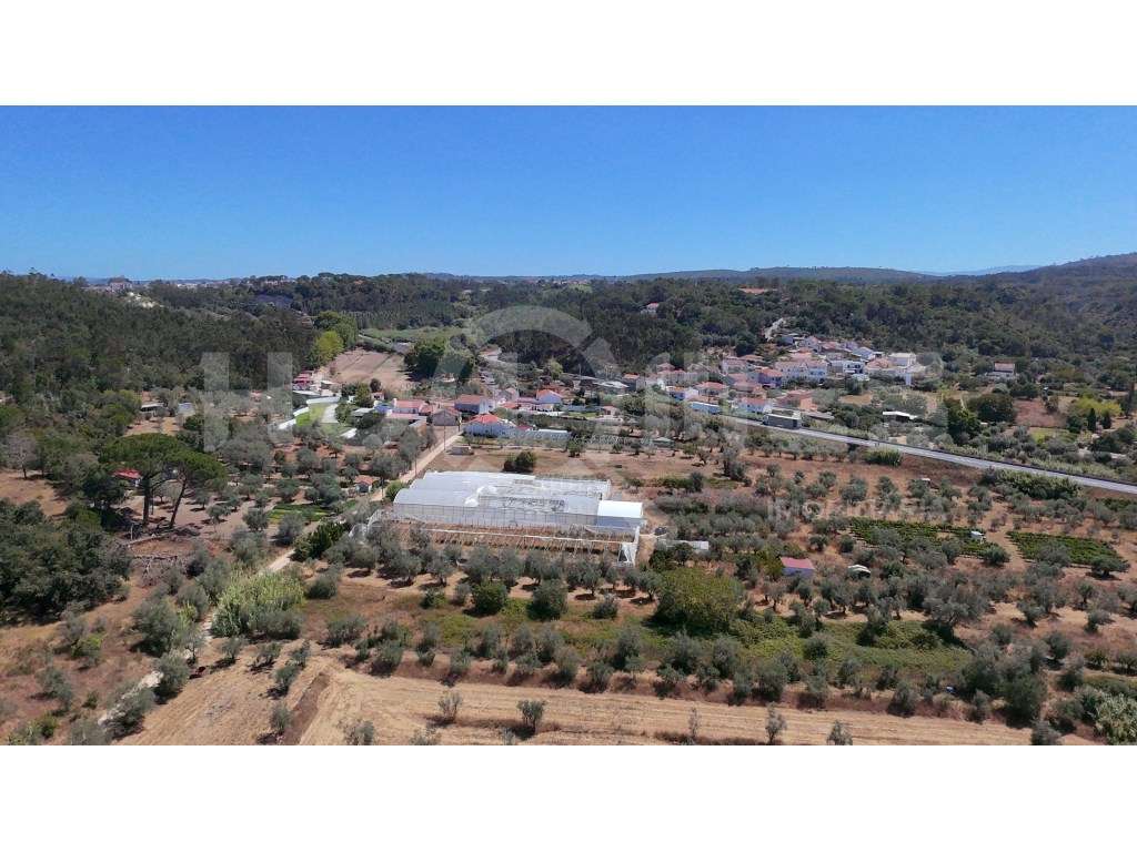 Terreno Agrícola com Estufas Preparadas para Produção em Hidroponia...-12