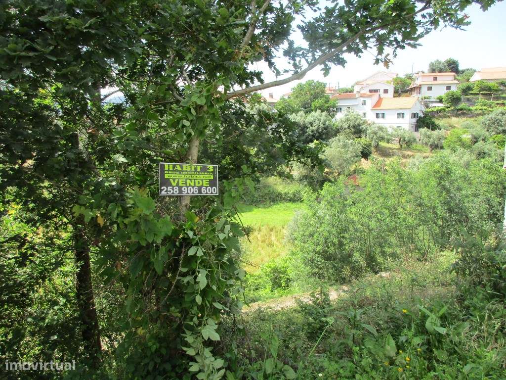 Terreno perto do centro de Ponte de Lima - Grande imagem: 3/4
