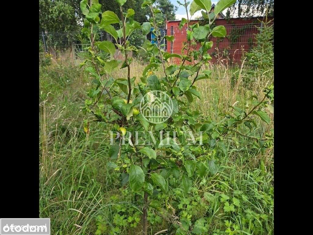 Piękna działka budowlana nad jeziorem-2