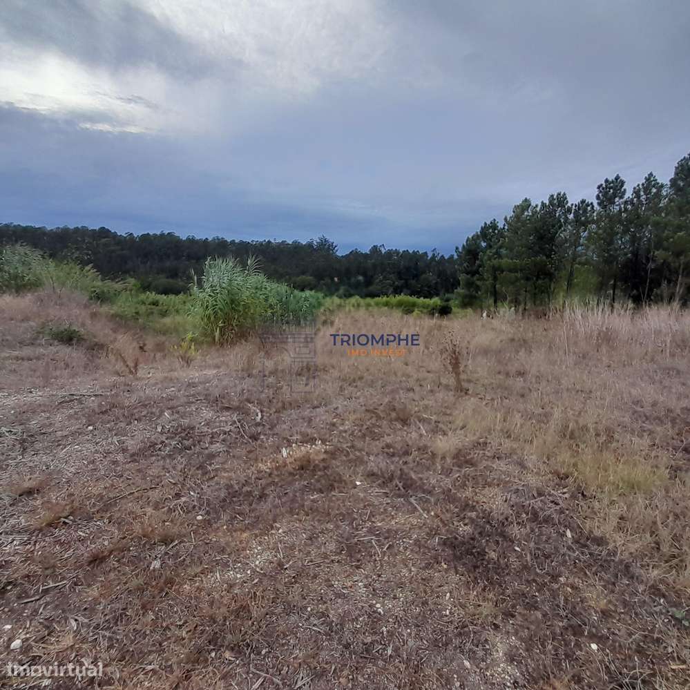 Terreno Urbano área 5.605 M² Amor, Leiria - Grande imagem: 5/13