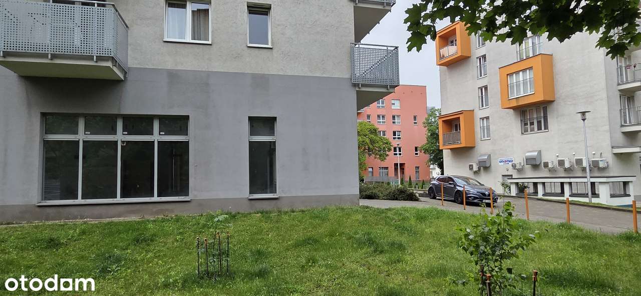 CENTRUM, Dąbrowskiego witryny - Pełny obrazek: 4/11