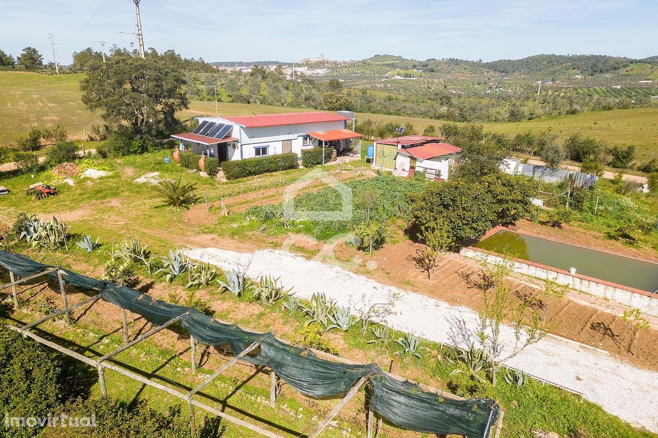 Terreno Rústico de 6804m2 com árvores de fruto e uma habitação | Porte