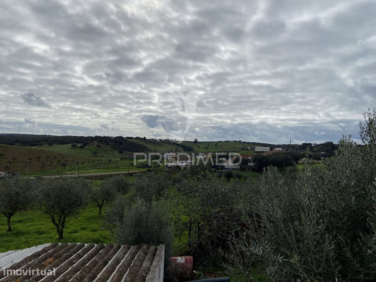 Moradia T1 com Terreno de 3300mts2 - Grande imagem: 4/14