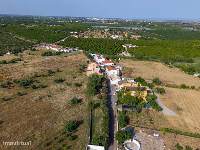 Moradia Isolada T3 com Jardim e Garagem em Bernardinheiro, Tavira-50