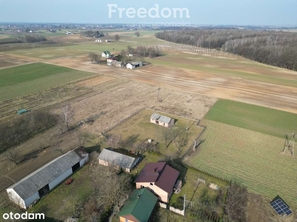 Działka w Ludwinowie  6 km od Nałęczowa - Pełny obrazek: 4/4