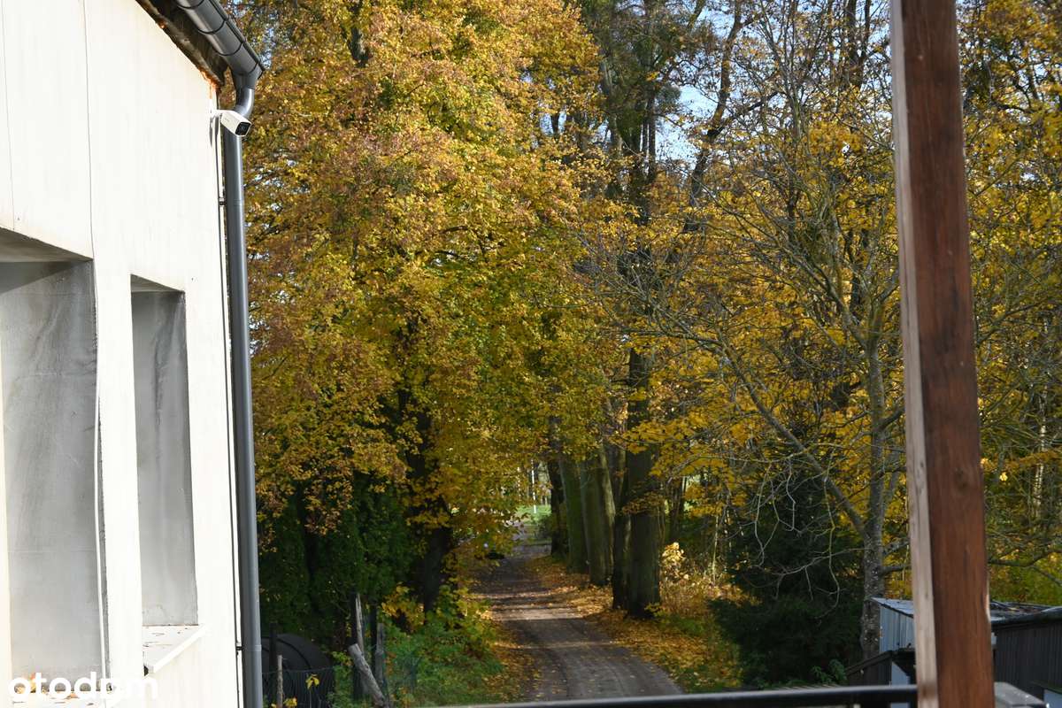 *Dom z ogrodem*Widok*Przy dworskim parku z XVI wieku*Film w opisie* - Pełny obrazek: 5/20