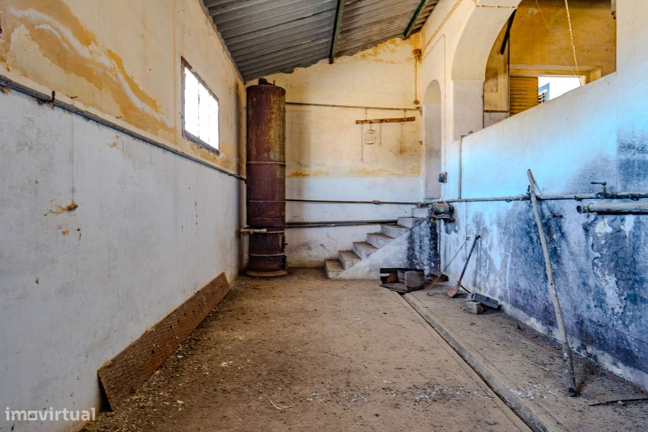 QUINTA 15 HA | VENDA | ÉVORA – ALENTEJO-19