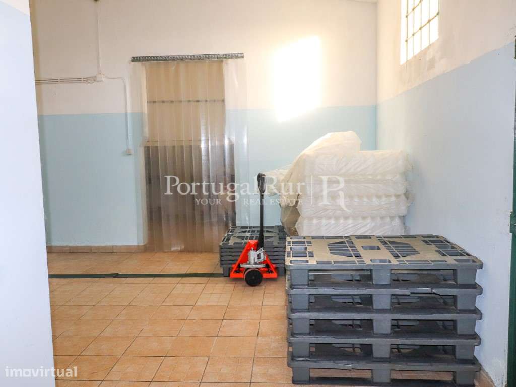 Unidade Industrial de Produção de Azeite & Elevado Potencial Produtivo-23