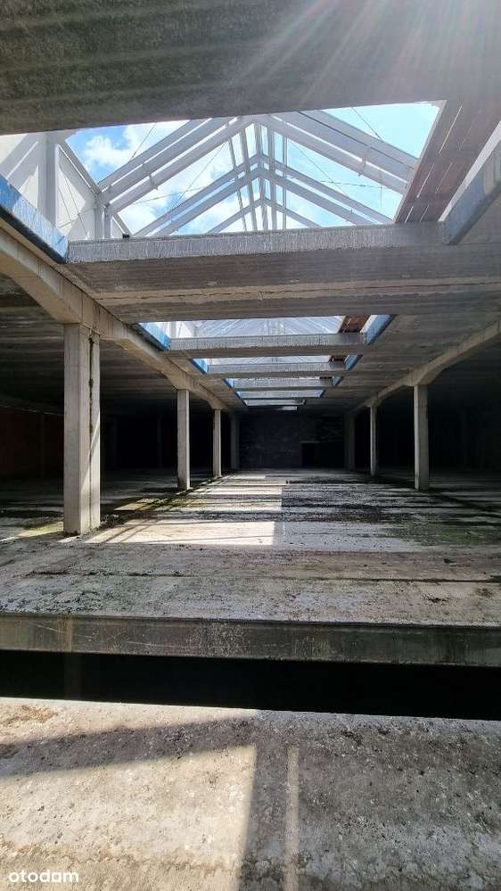 Działka w centrum Gniezna - Roosvelta - zabudowa-10